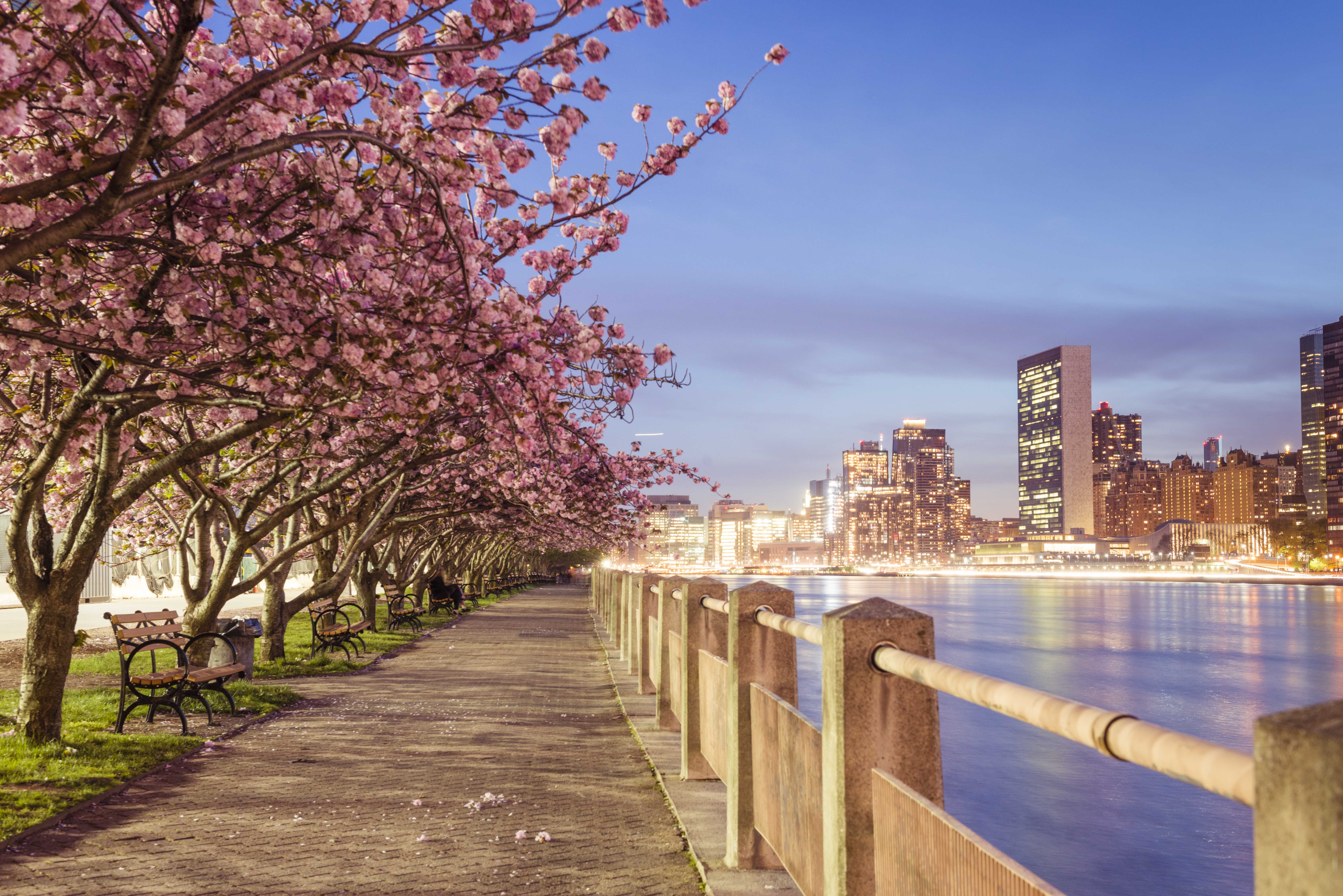 Blossoming trees along a Hudson River promenade with skyline of New York City, a Marriott Vacation Club destination