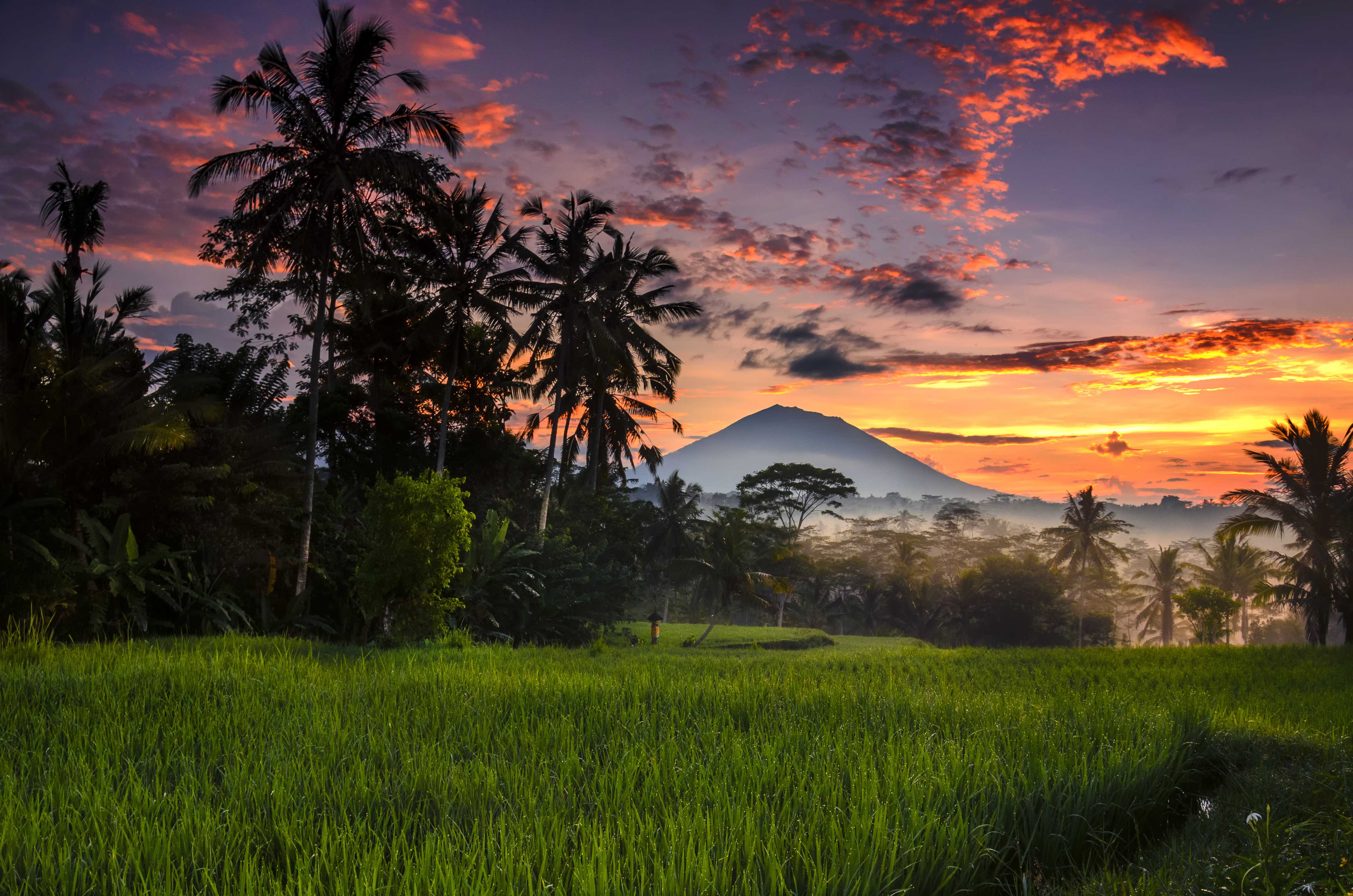 Sunset in Bali, Indonesia, rice paddy in the foreground and volcano in the background, a Marriott Vacation Club destination